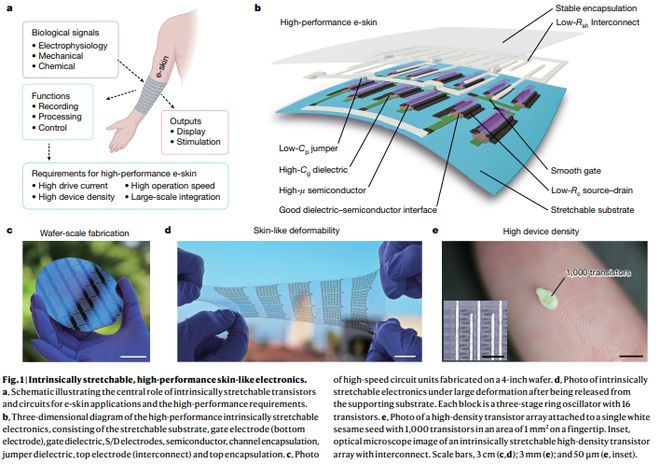 鲍哲南院士最新Nature：更小更快的大规模本征可伸缩集成电路(图1)