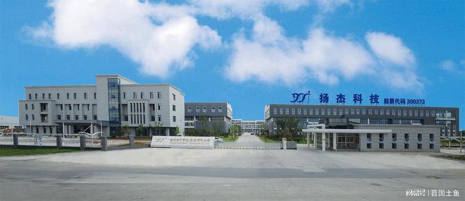 扬杰科技2023年业绩表现明显优于同行还有其他值得一看的吗？