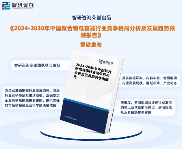 中国聚合物电容器行业发展环境分析及市场前景预测报告（2024版）