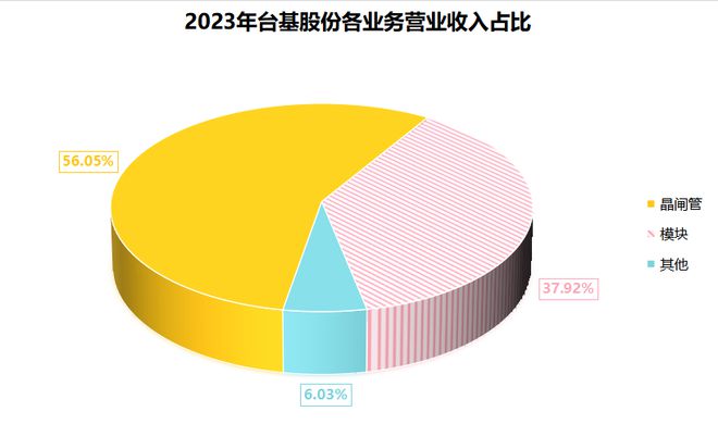 300046下一个正丹股份？台积电母公司？(图3)