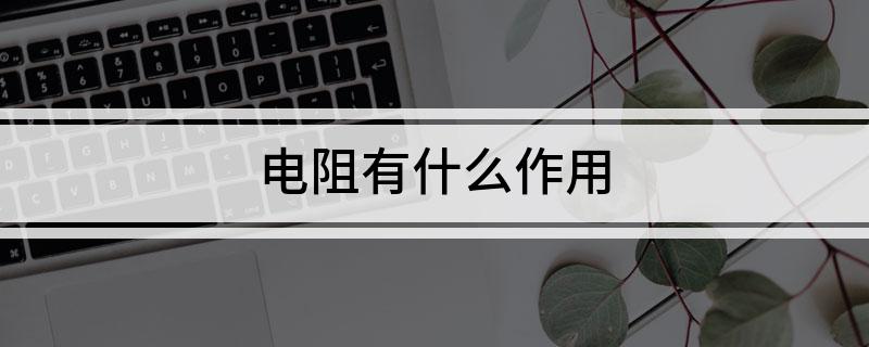 电阻有什么作用