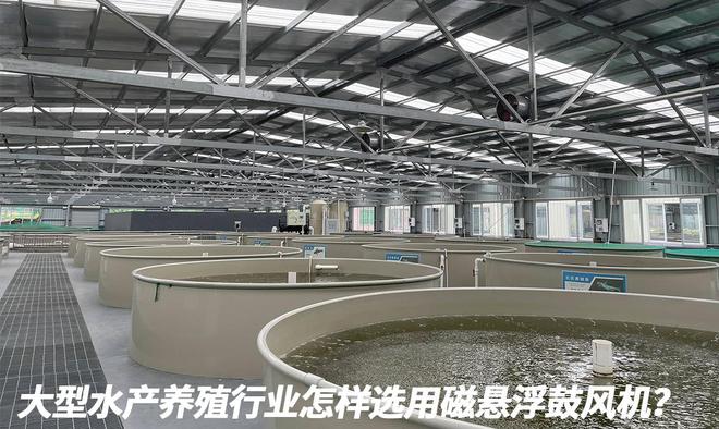 水产养殖行业怎样选用磁悬浮鼓风机？