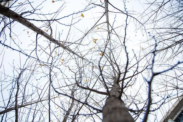 下周五小雪节气老人说：有4个特点分别指的是啥？有啥说法？(图2)