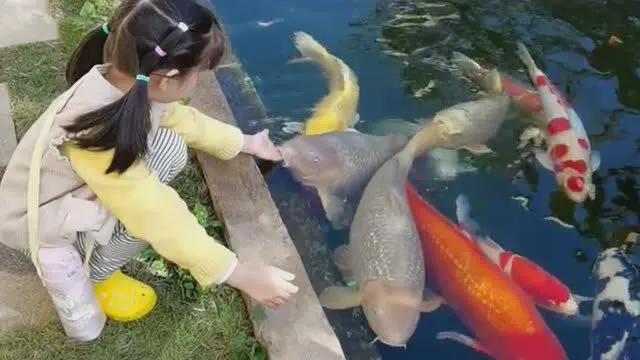 六一合集8款好玩有趣的礼物送给孩子诚意满满(图10)