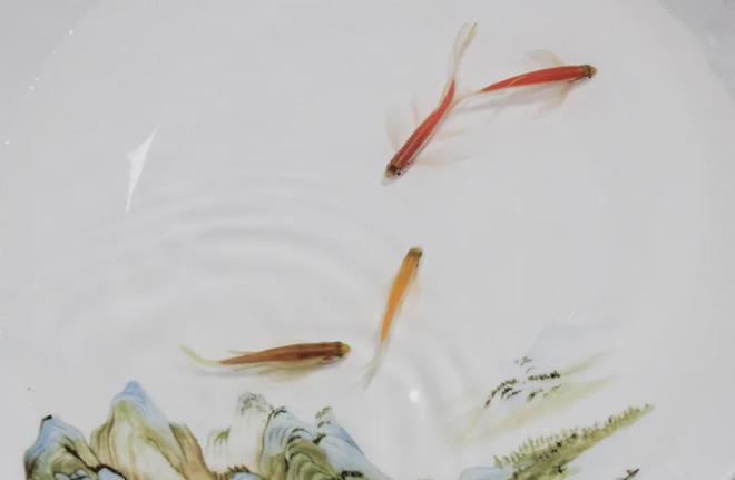六一合集8款好玩有趣的礼物送给孩子诚意满满(图13)