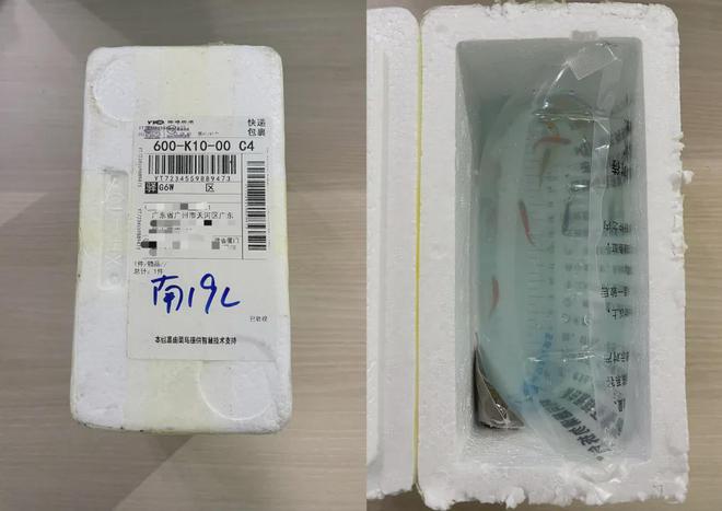 六一合集8款好玩有趣的礼物送给孩子诚意满满(图15)