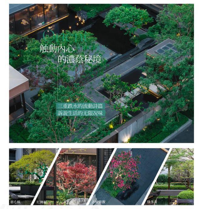 保利海上瑧悦售楼处热点发布：保利海上瑧悦盛邀您品鉴(图17)