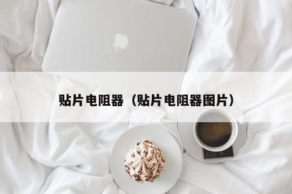 贴片电阻器（贴片电阻器图片）(图1)