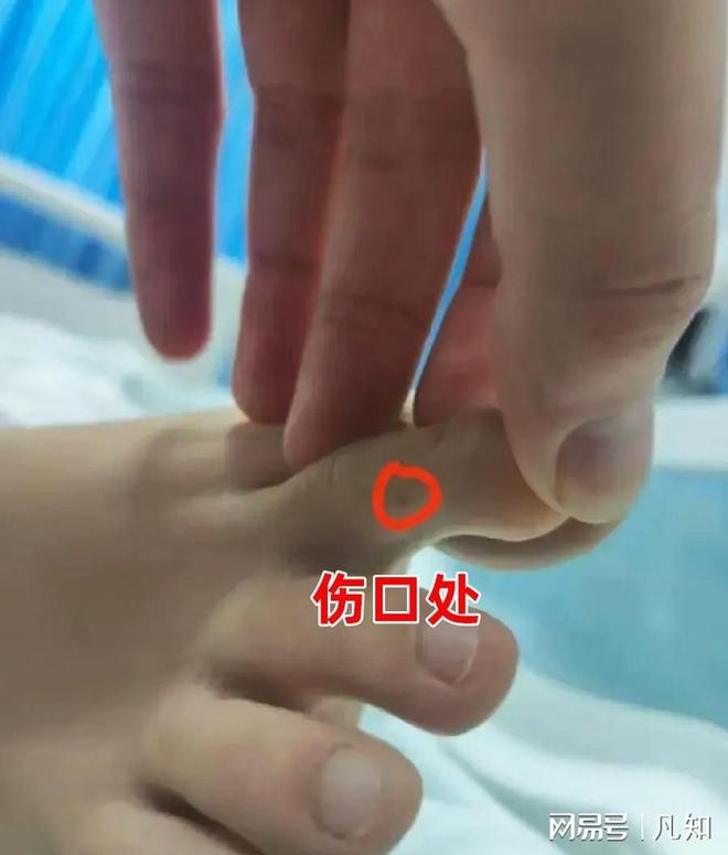 27岁女孩被蛇咬身亡后续：生活照曝光家属透露更多细节通(图6)