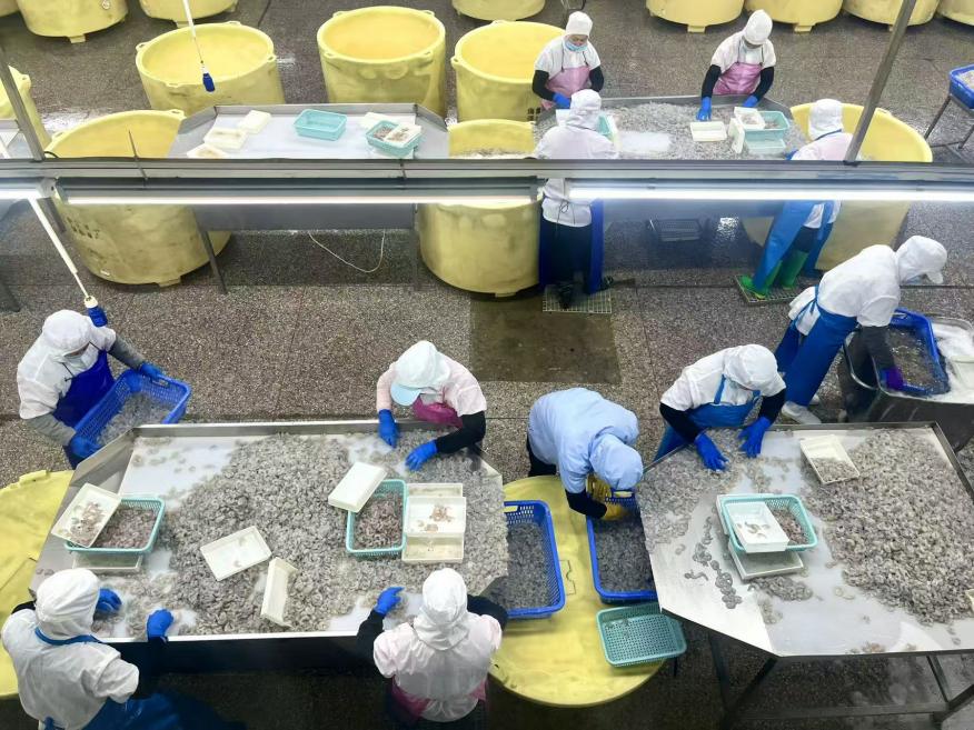 邮储银行漳州分行赋能漳州海洋产业与新质生产力双跃升