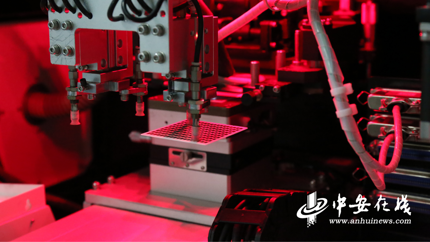 “阜阳造”系列报道⑭