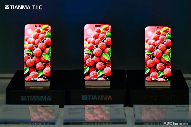 引领显示产业多维跃迁!11项成果亮相2025天马全球创新大会(图11)