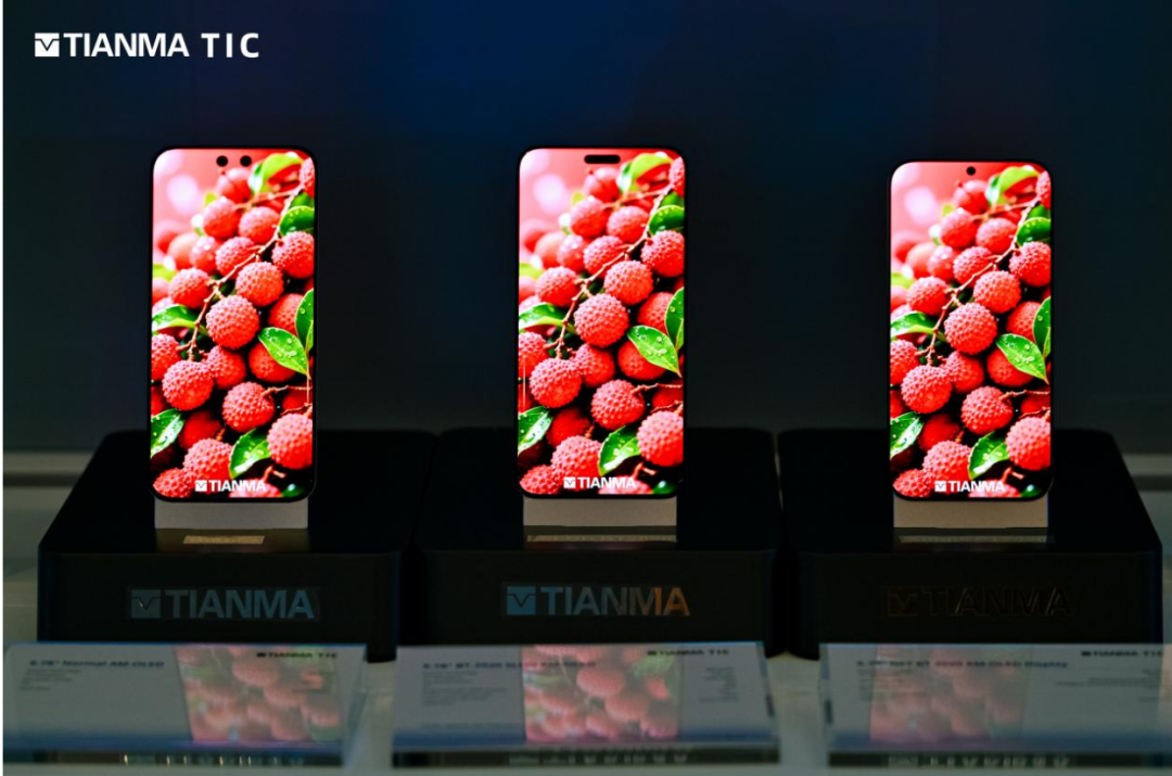 天马2025全球创新大会圆满举行：11项创新成果亮相引领显示技术新纪元(图13)