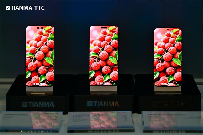 创见新境丨2025天马全球创新大会隆重启幕引领显示产业多维跃迁(图10)