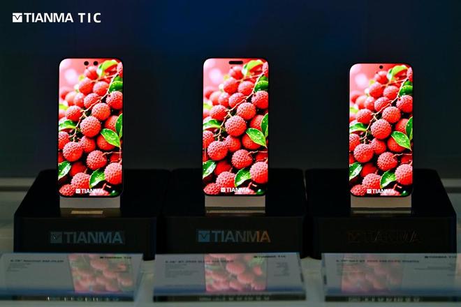 天马2025全球创新大会圆满举行:11项创新成果引领显示技术新纪元(图11)