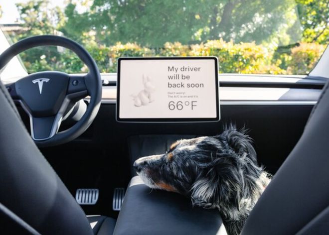 天马起诉LGD涉嫌LCD、OLED侵权