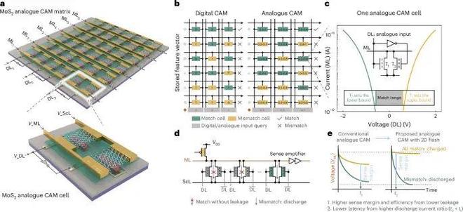 香港大学最新NatureNanotechnology！(图2)