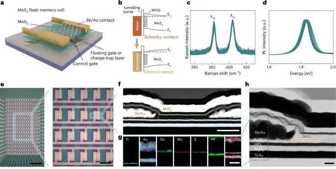 香港大学最新NatureNanotechnology！(图3)