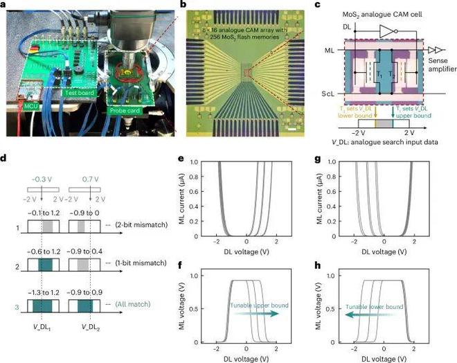 香港大学最新NatureNanotechnology！(图5)