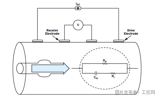 利用集成式AFE实现无创心搏出量监测(图2)
